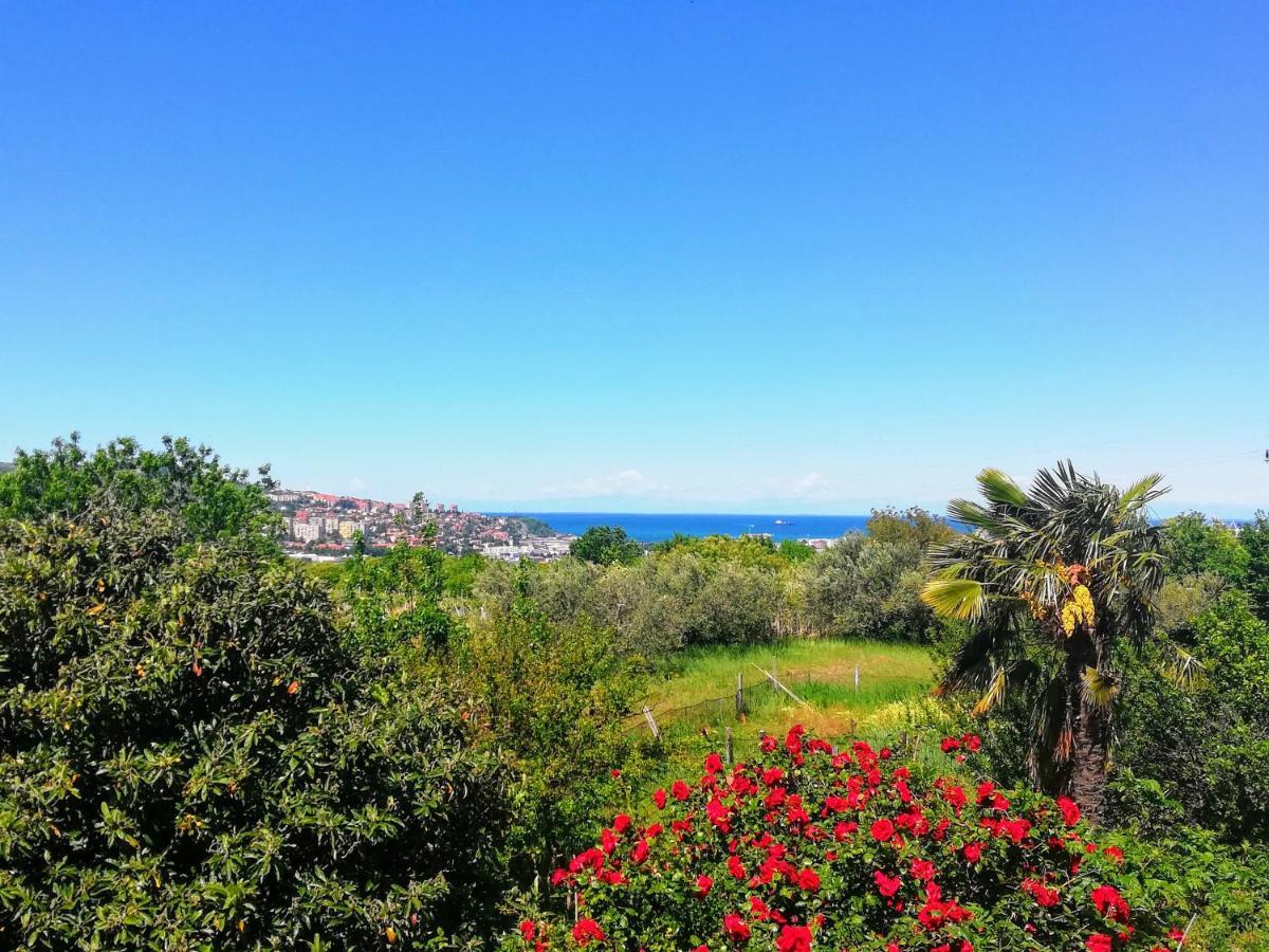 Peaceful View Apartment Koper Luaran gambar
