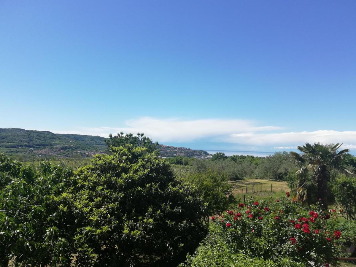 Peaceful View Apartment Koper Luaran gambar