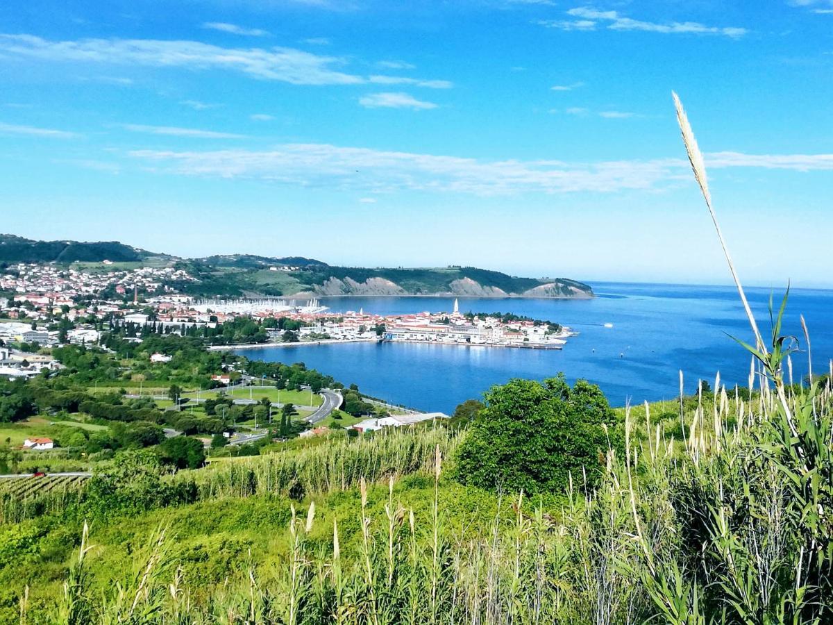 Peaceful View Apartment Koper Luaran gambar