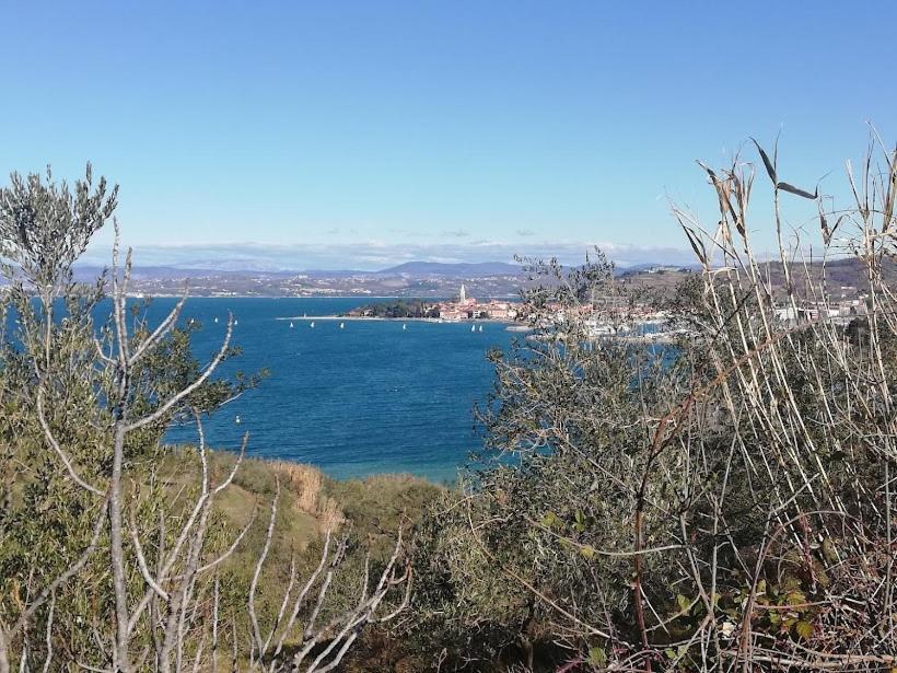 Peaceful View Apartment Koper Luaran gambar