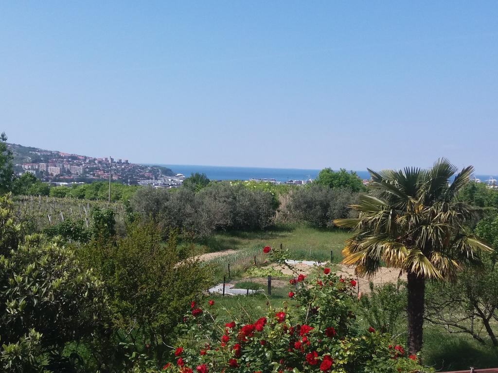 Peaceful View Apartment Koper Luaran gambar